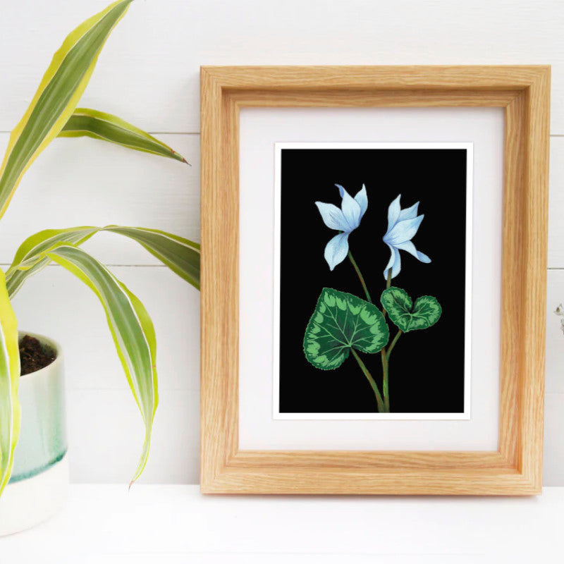 Cyclamen - A5 Black Botanical Print