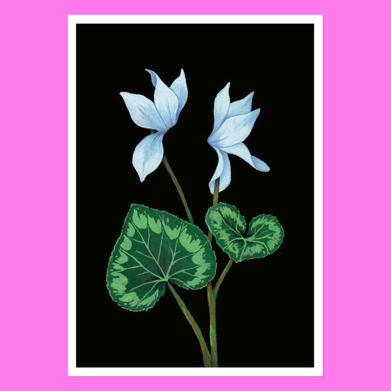 Cyclamen - A5 Black Botanical Print