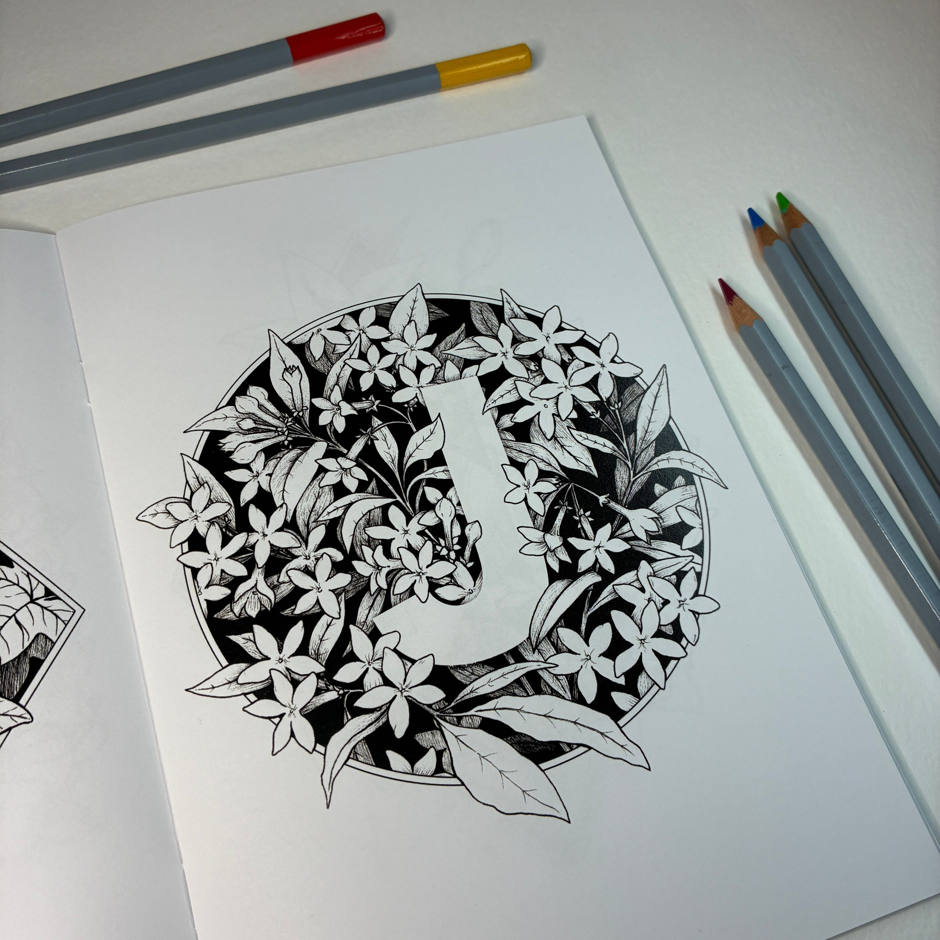 Botanical Alphabet Colouring Book