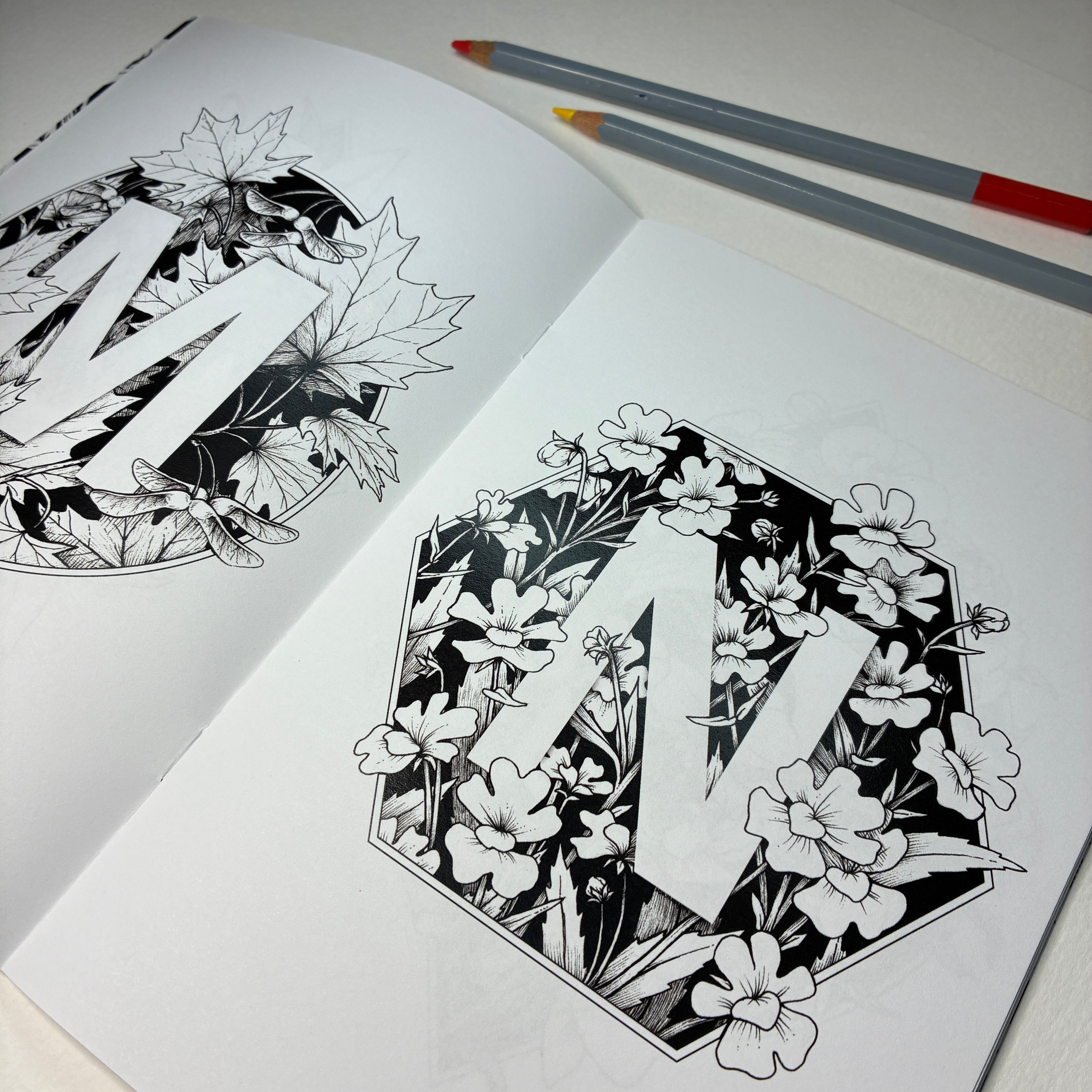 Botanical Alphabet Colouring Book