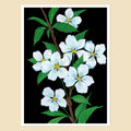 Blossoms - A5 Black Botanical Print
