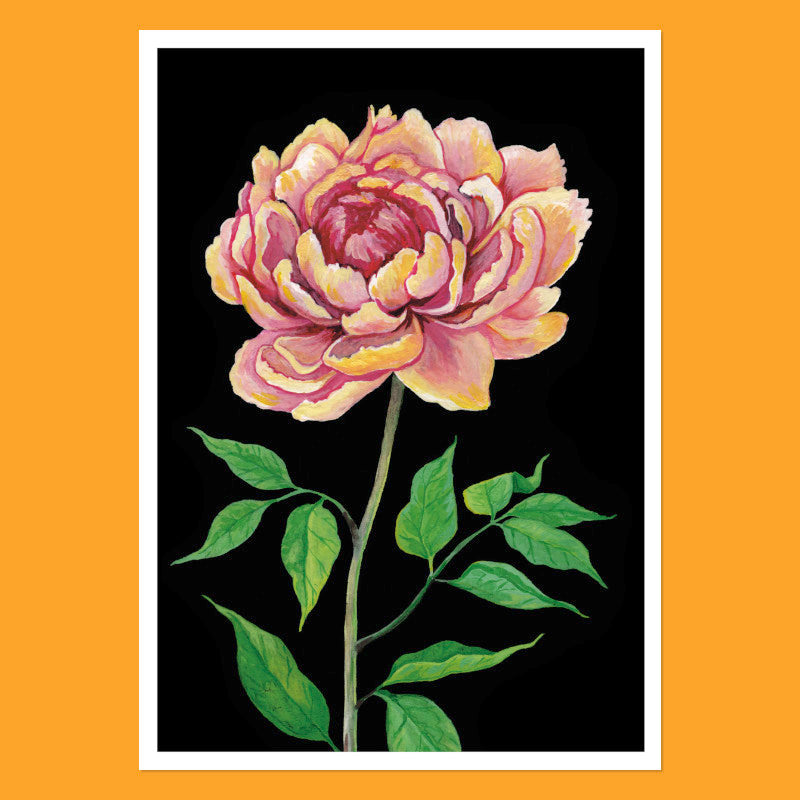 Peony - A5 Black Botanical Print