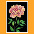 Peony - A5 Black Botanical Print