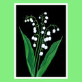 Snowdrops - A5 Black Botanical Print