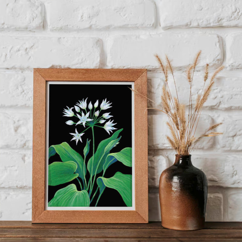 Wild Garlic - A5 Black Botanical Print